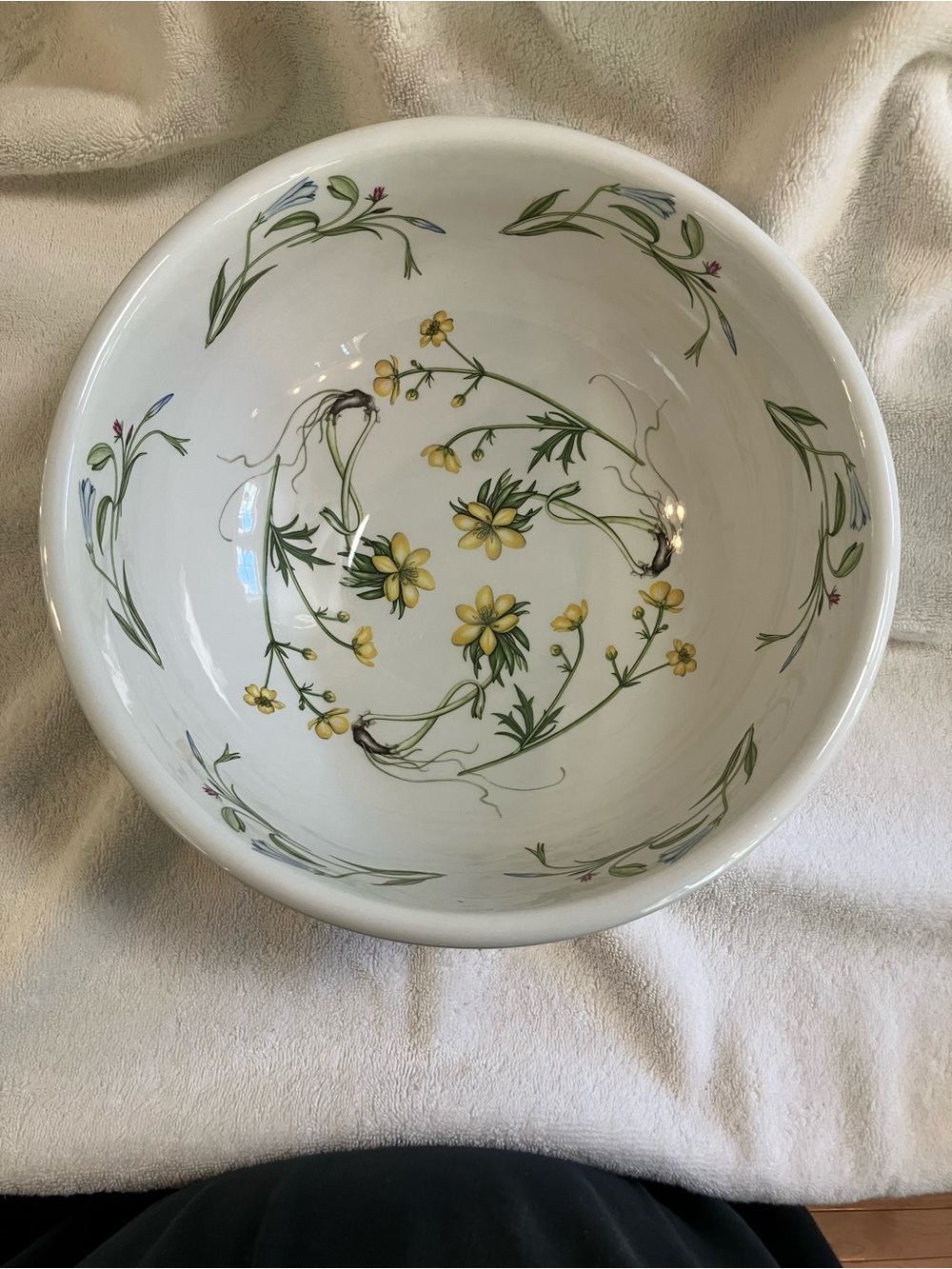 The Queen's Hidden Garden 11-inch Large Salad Serving Bowl by Portmeirion VTG